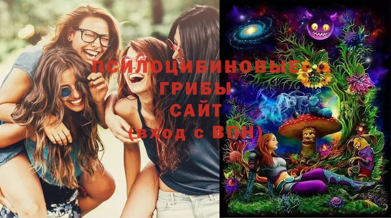 Галлюциногенные грибы Cubensis  Зеленокумск 